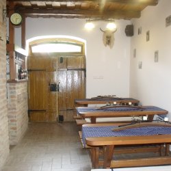 Láng Pince